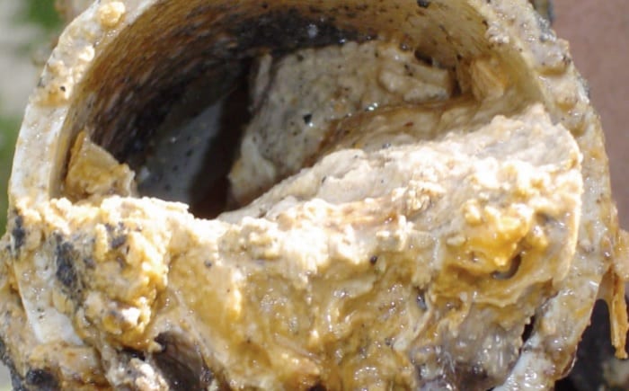 Turning fatbergs in to biodiesel