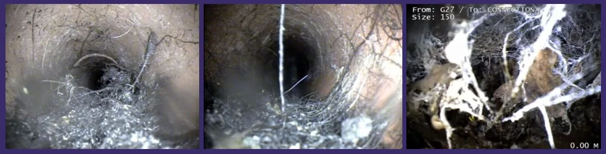 Unblocking drains from weed build up