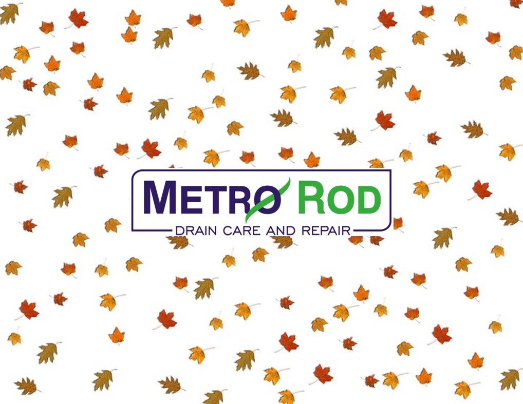 Innovative Gutter Cleaning by Metro Rod Manchester