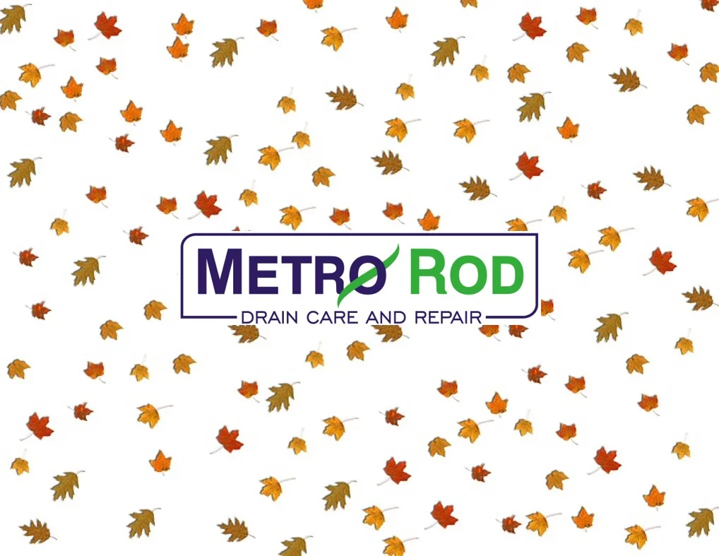 Innovative Gutter Cleaning by Metro Rod Manchester