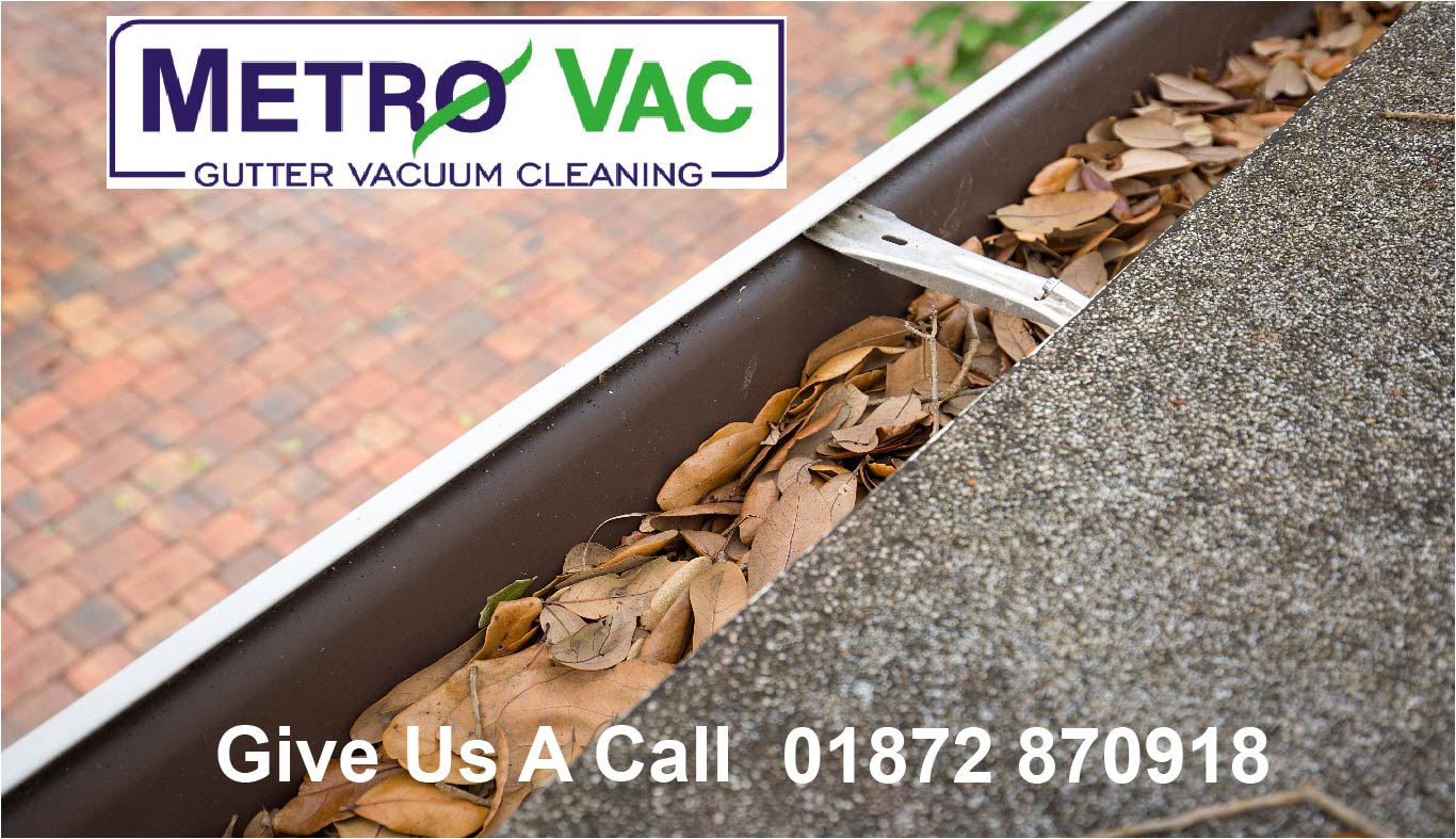 Got grotty gutters?