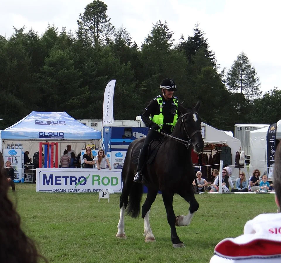 Blenheim palace international horse trials rides for another year!