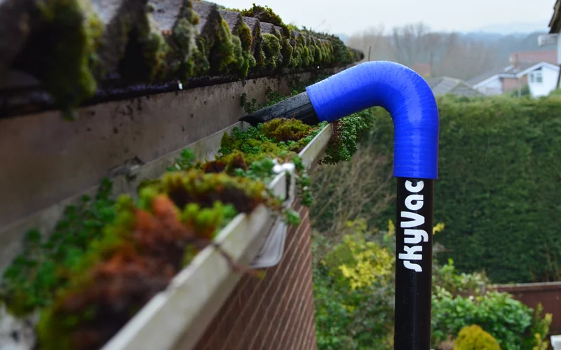 Keeping gutters clear in dorset