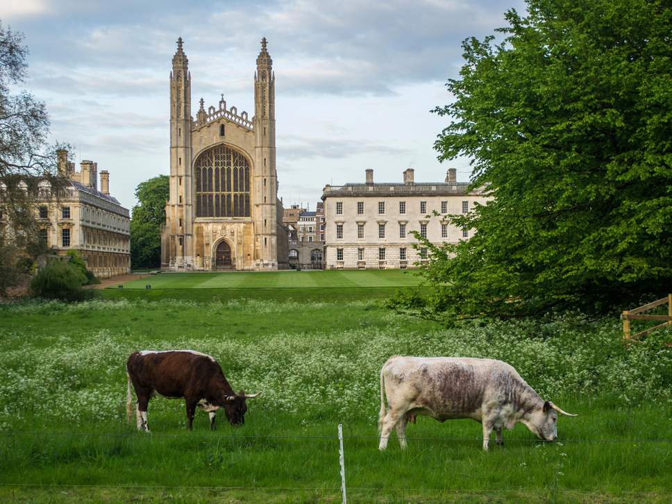 Interesting cambridge fact #1 by drainage experts metro rod cambridge