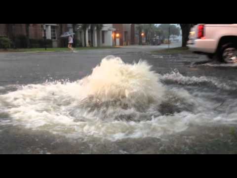 Are your drains feeling overwhelmed…..
