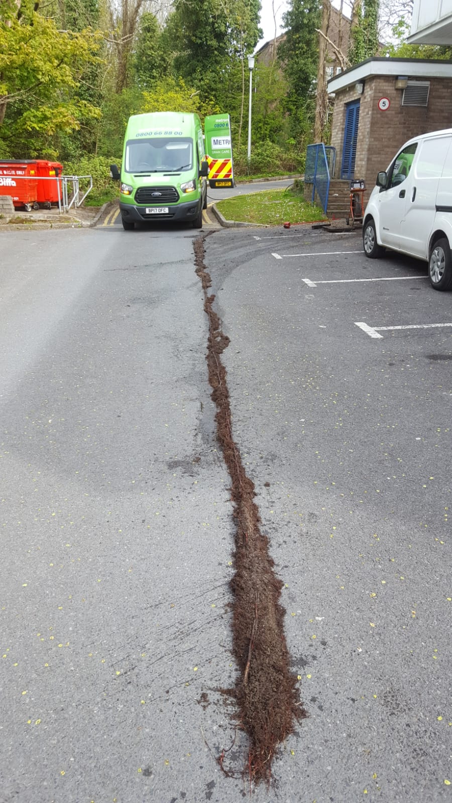 The mcnamara bros take on a massive root problem in swansea