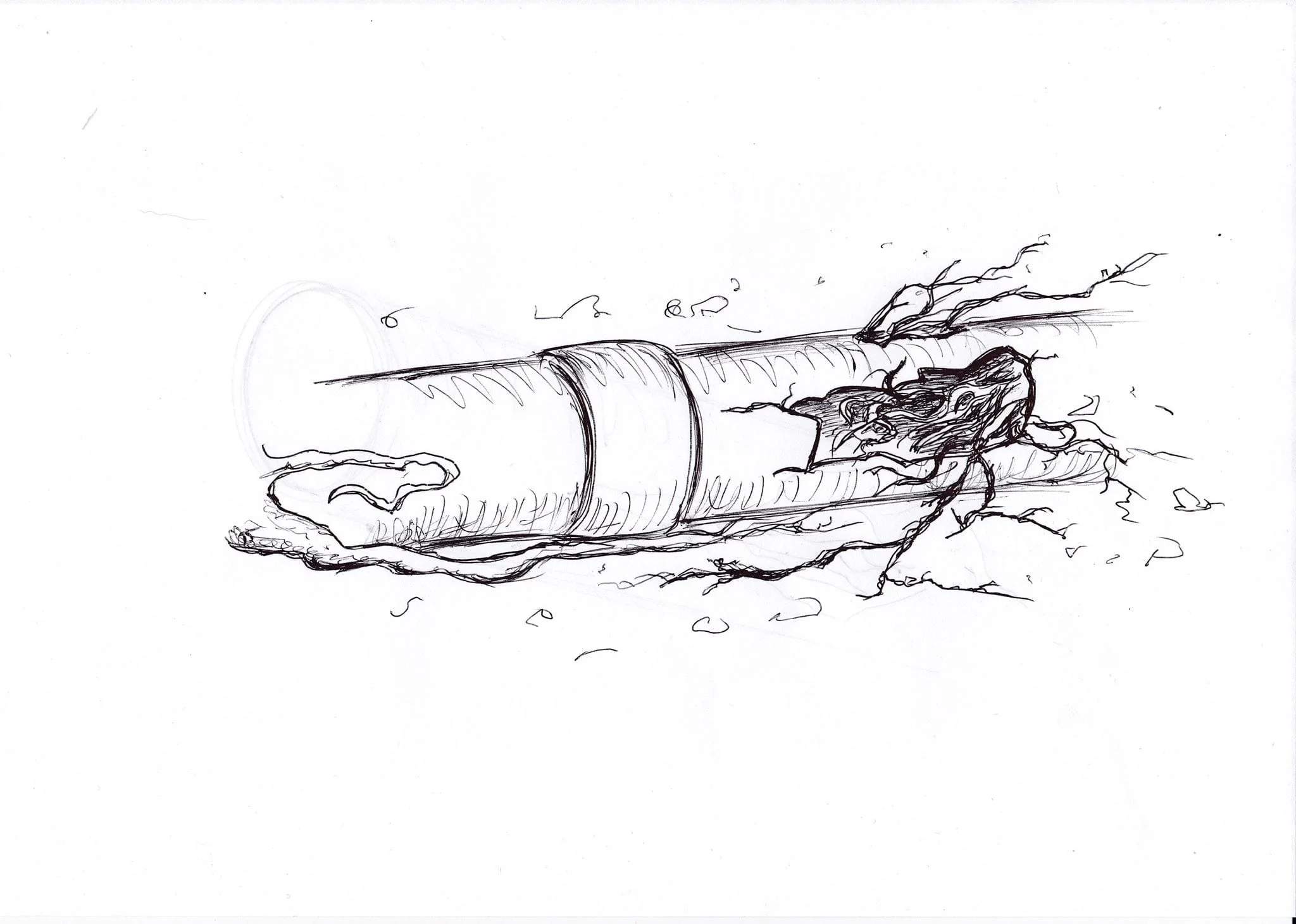 Is your outside drain blocked and experiencing drainage problems? tree roots could be the cause.