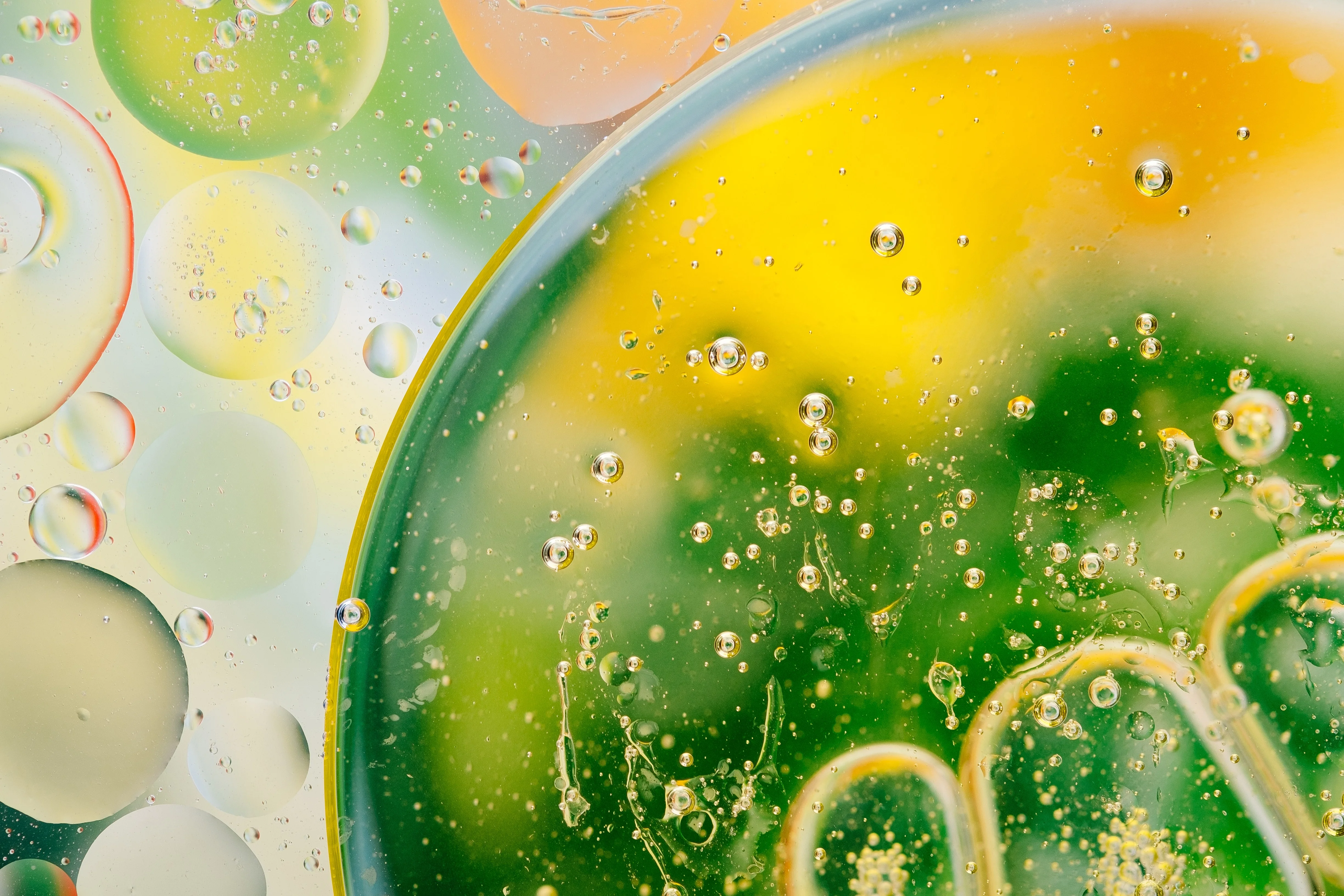 Fats, oil and grease