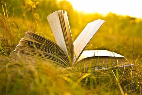A bit of metro rod summer reading