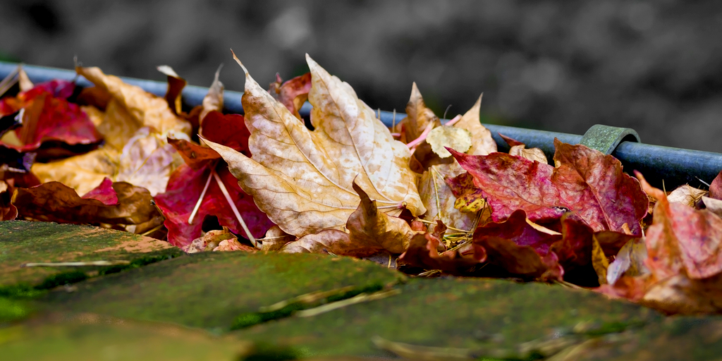 We can help declutter your gutters – metro rod glasgow