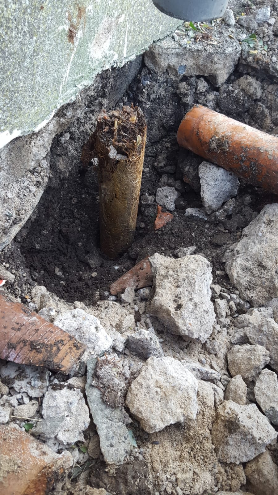 ‘what a root’ in neath port talbot – metro rod swansea