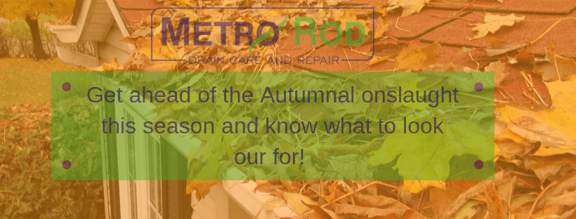 Autumn drainage issue