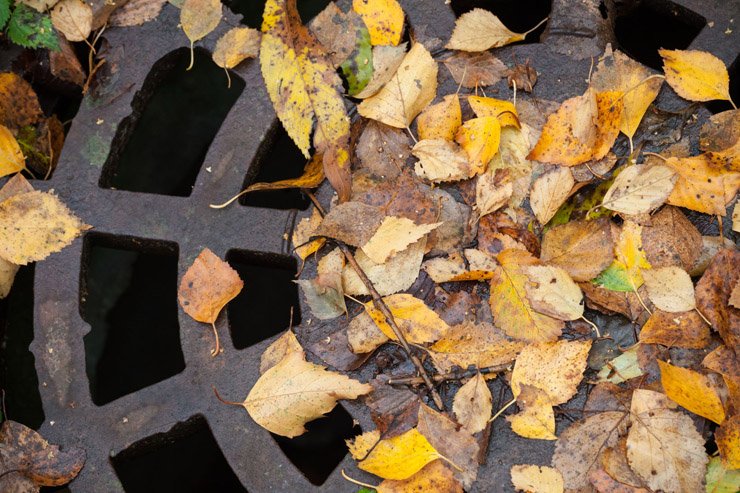 Steps to unblock an outside drain – metro rod mid wales