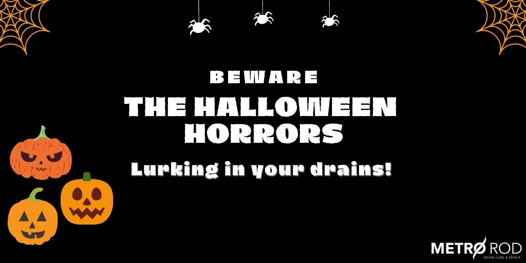 What scary things are lurking in your drains? – metro rod cumbria