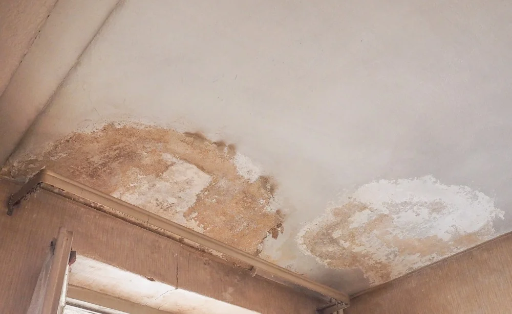 Can you tell when your drains are damaged? – metro rod aberdeen
