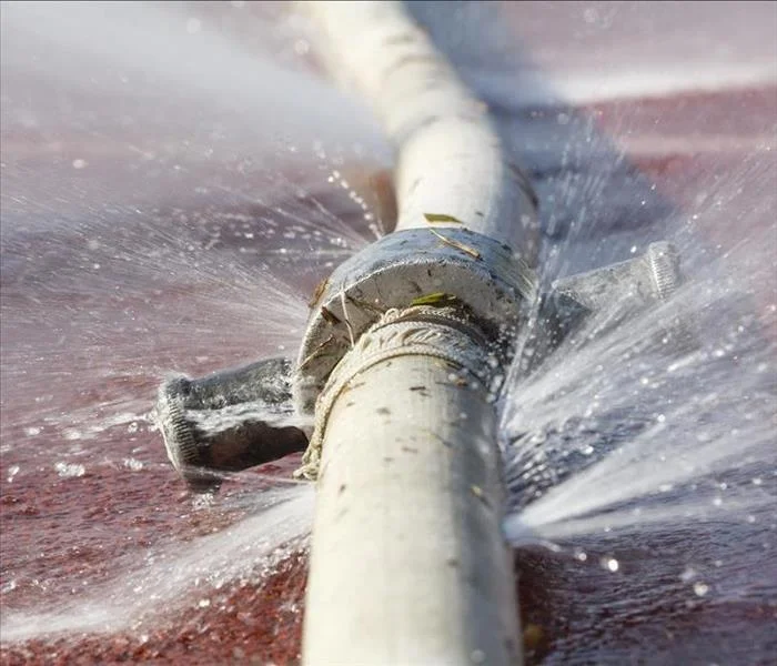 Damaged Drains Cause Household Problems – Metro Rod North London