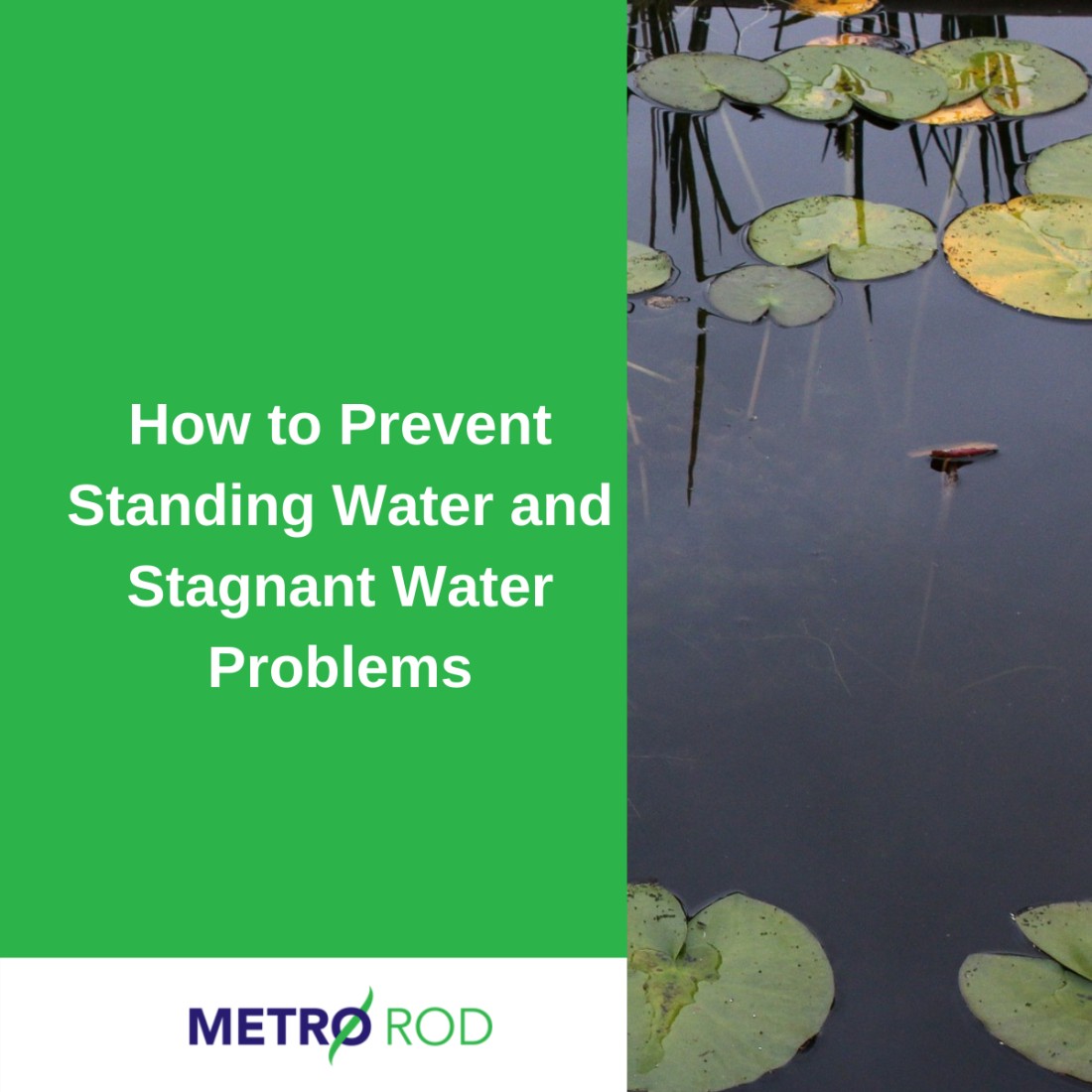 How to Prevent Standing Water and Stagnant Water Problems
