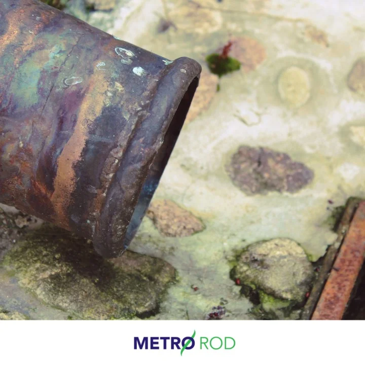 How to prevent and remove fatbergs