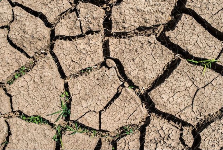Droughts and hose pipe bans in our area – metro rod swansea