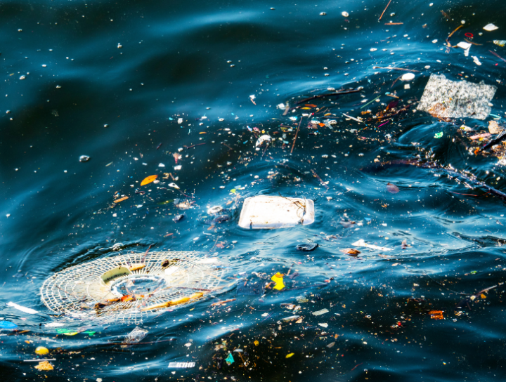 The effects of water pollution
