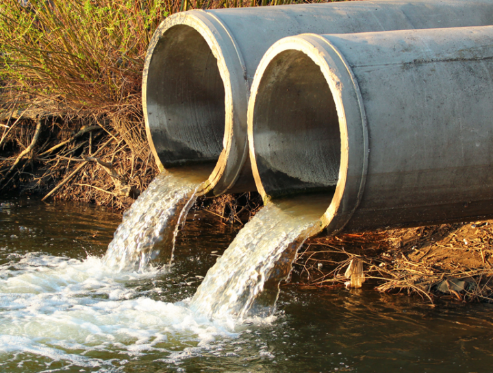 Water Pollution – Everything You Need To Know