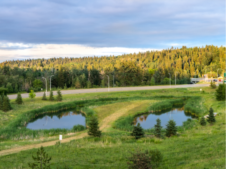 Attenuation Ponds - Metro Rod Services