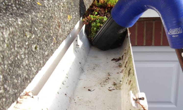 Gutter Cleaning