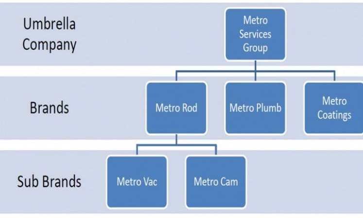 News Company Structure