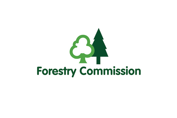 Forestry Logo