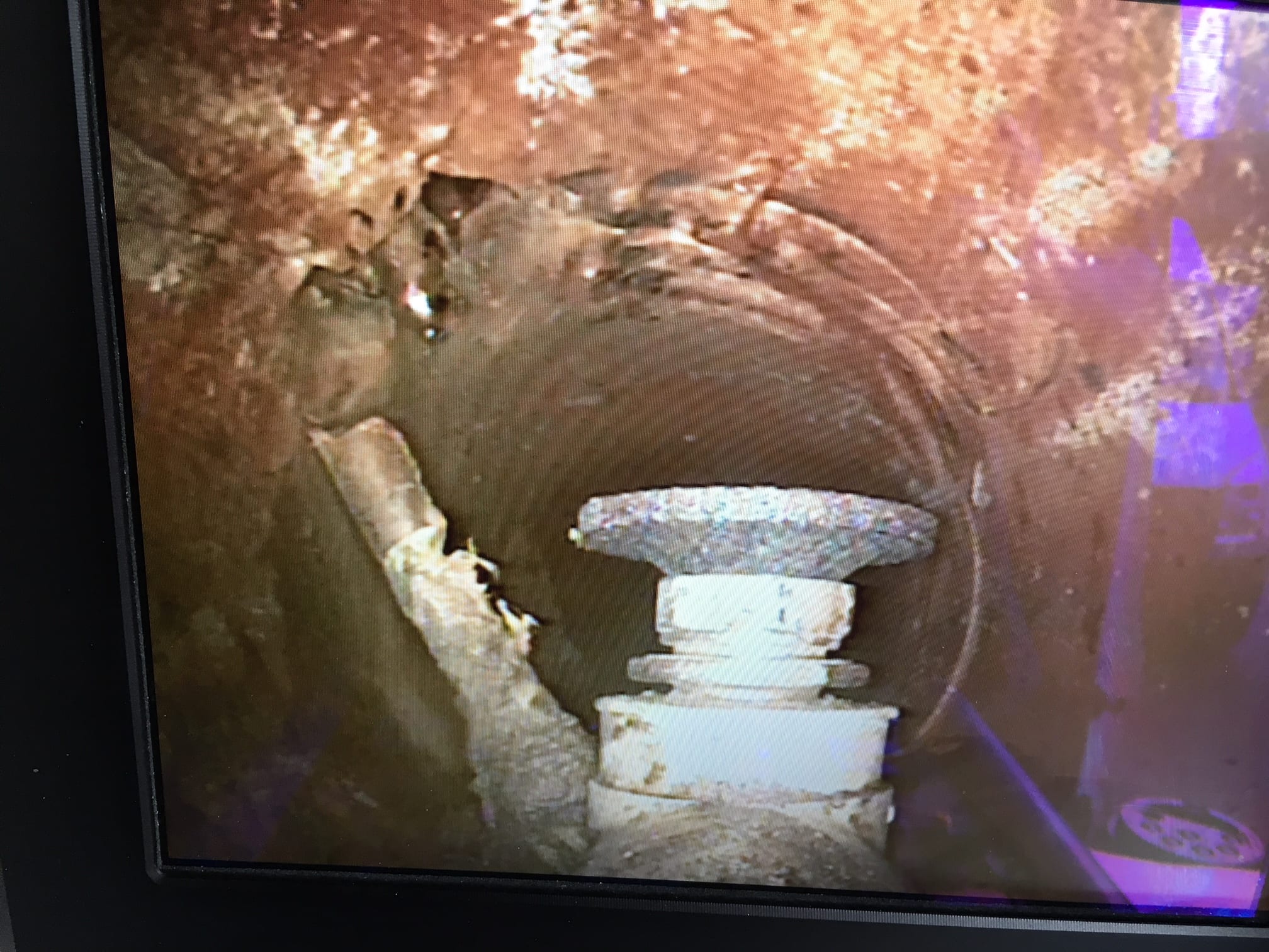 Unblock your drains and pipework with DRAIN.LE the Robotic Cutter