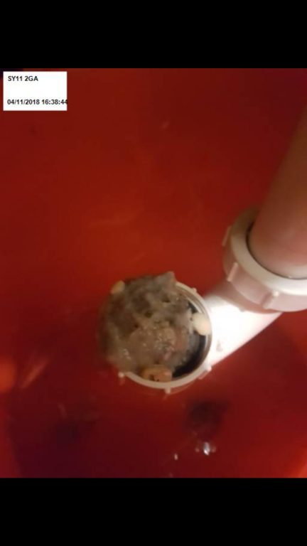 Screenshot 20181107 122048 Gallery