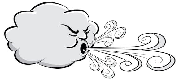 Debris can be swept into your drains thank to the wind! Wind Can Affect Your Drains!