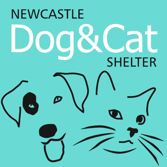 Dog And Cat Shelter