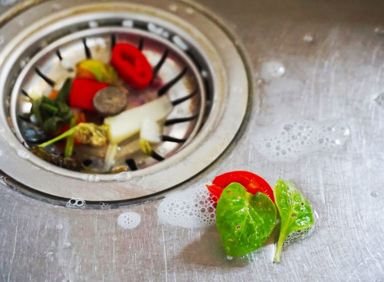 Pieces Of Food In Sink