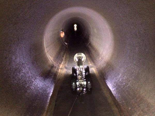 Facebook 1658342754025 6955593646580297863