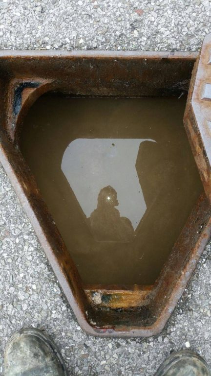 31890868 1662825750421260 5656431255491706880 N